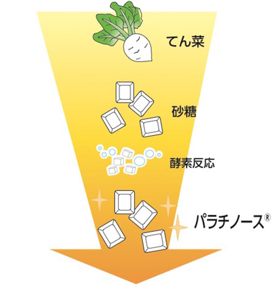 酵素の力を使って砂糖から生成:イメージ