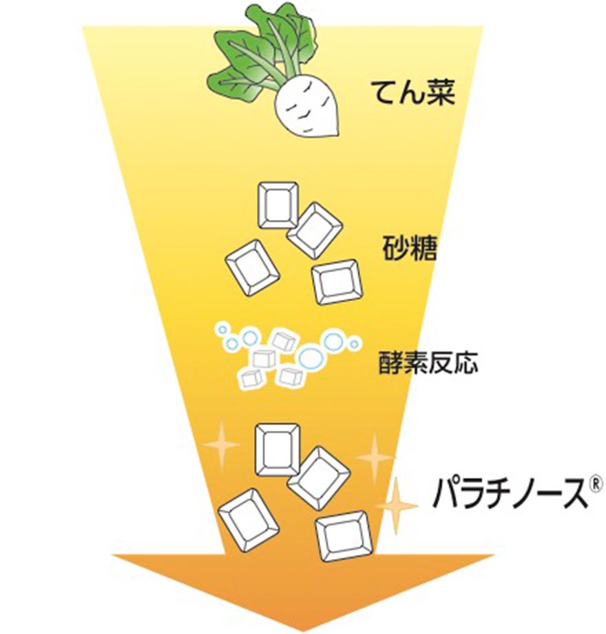 酵素の力を使って砂糖から生成：イメージ