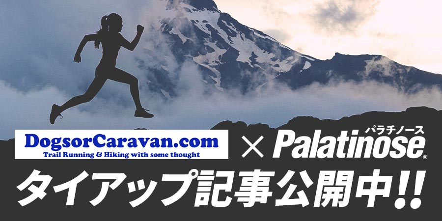 DogsorCaravan.com×パラチノース® タイアップ記事公開中!!