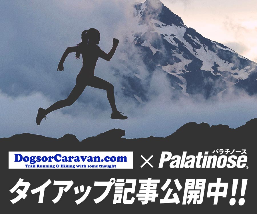 DogsorCaravan.com×パラチノース® タイアップ記事公開中!!