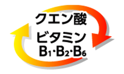 クエン酸＋ビタミンB1・B2・B6