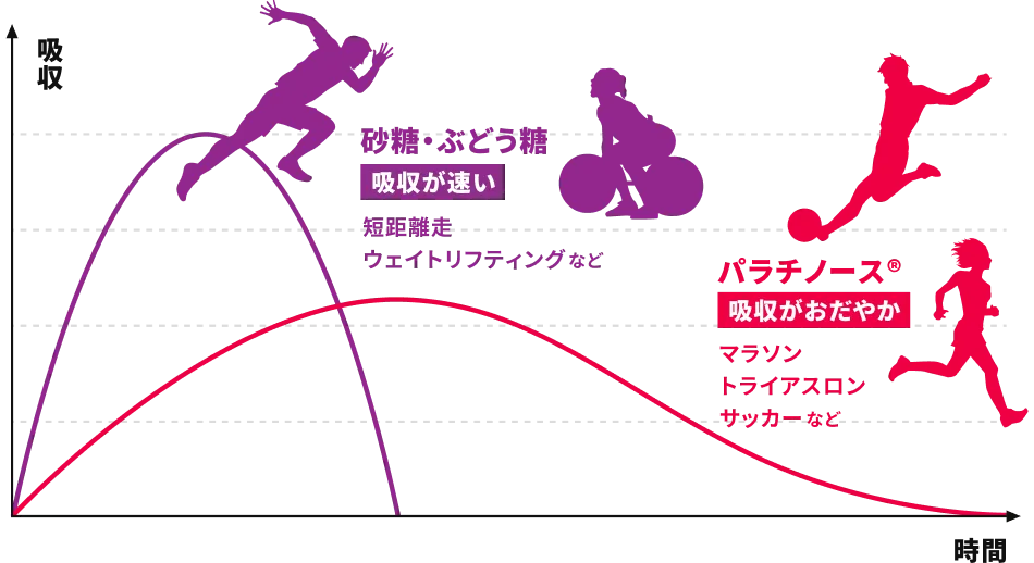 糖質の時間経過による吸収率のグラフ