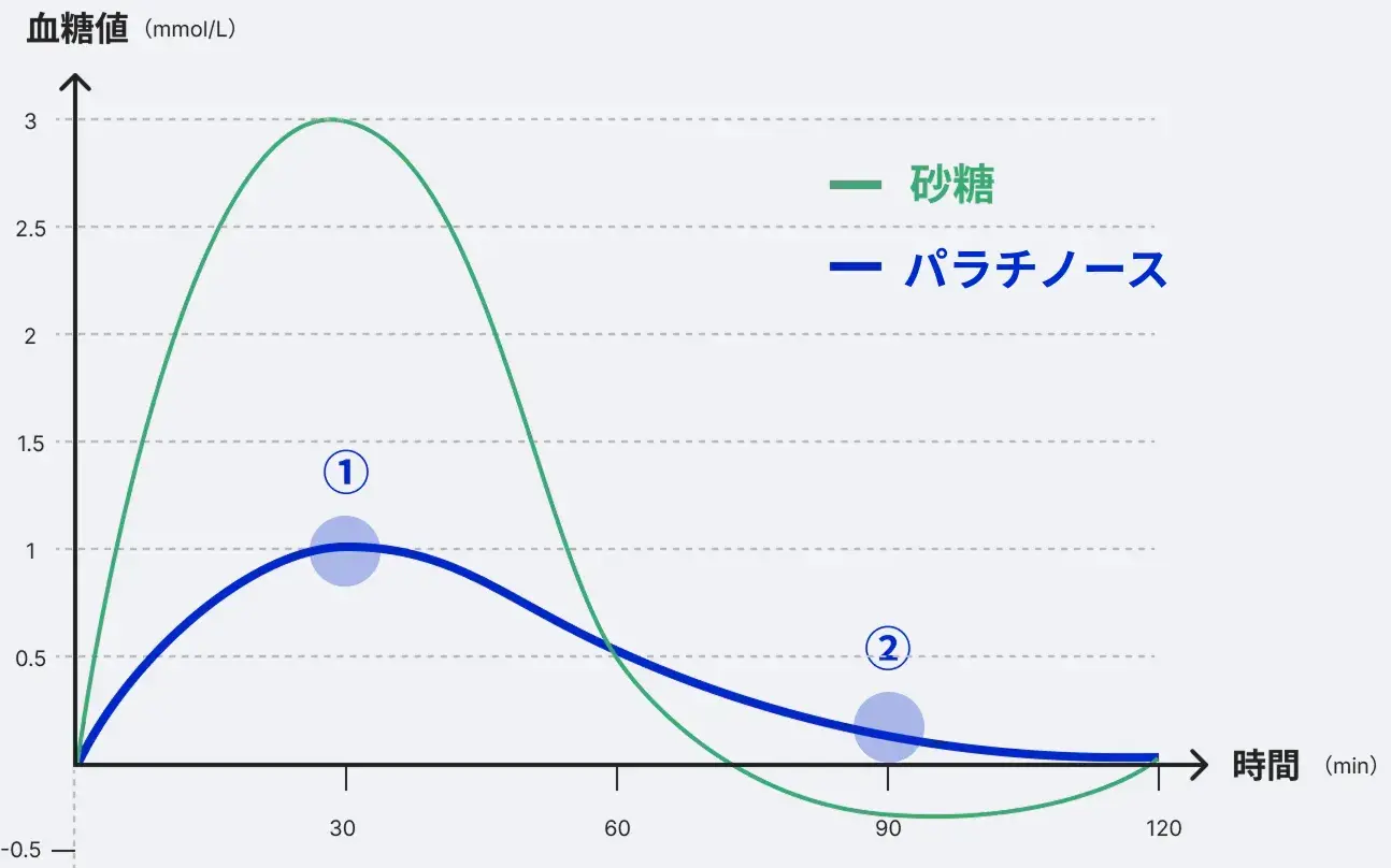 パラチノースと砂糖摂取後の血糖値の変動。砂糖摂取後は急激に血糖値が上昇し、その後急激に下降するが、パラチノース摂取時は血糖値の上昇が緩やかで安定している。