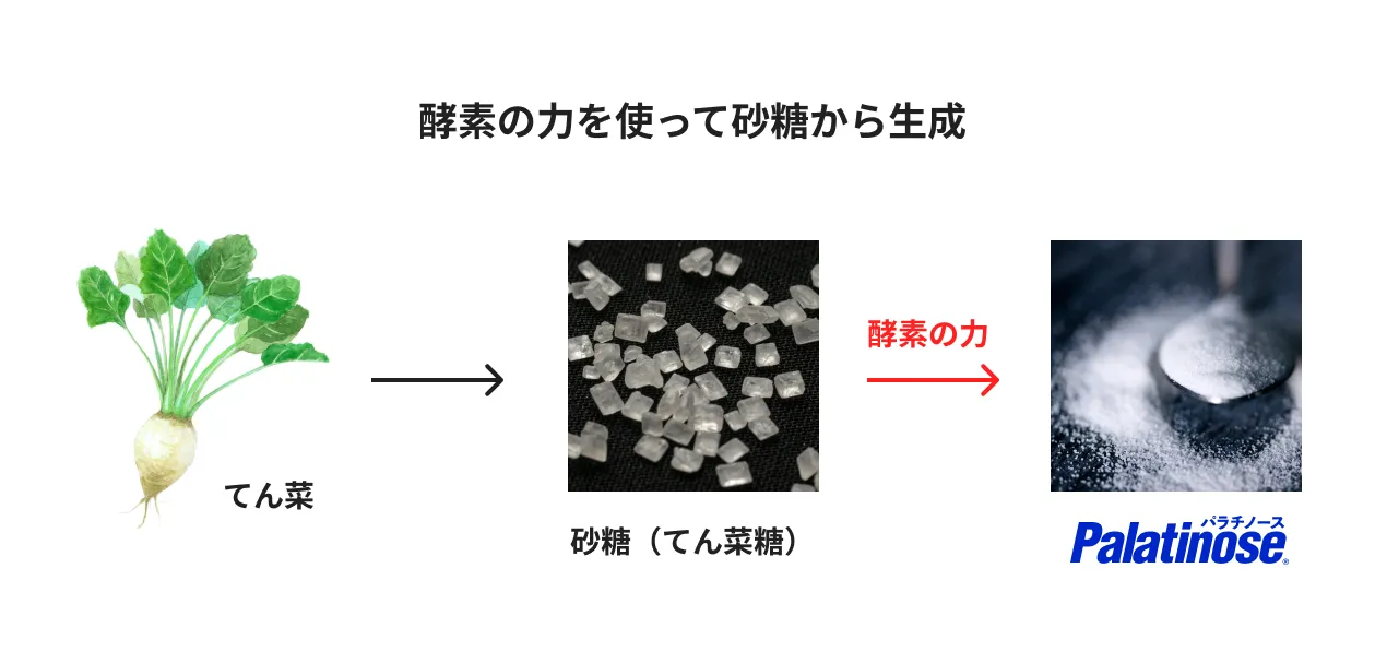 酵素の力を使って砂糖から生成